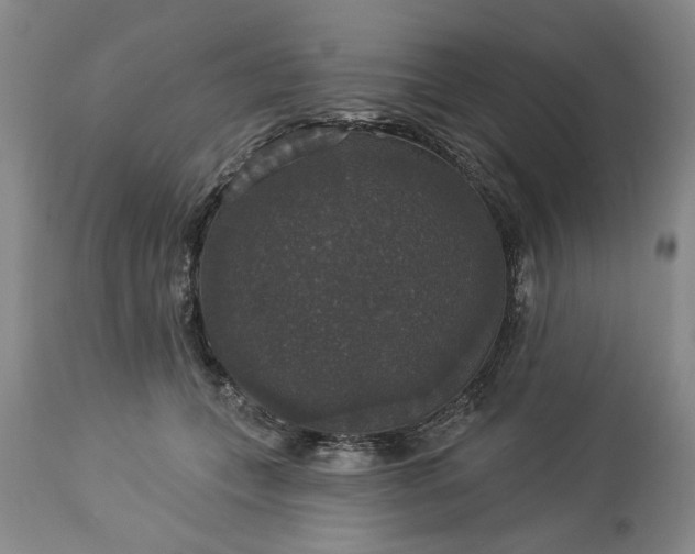 X0000113550559200910021533