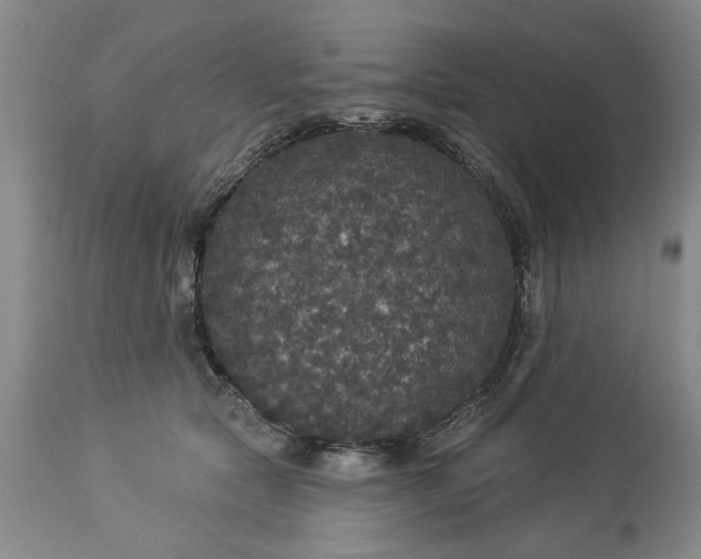 X0000113550561200910021533