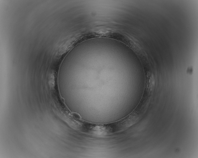 X0000113550562200910021533