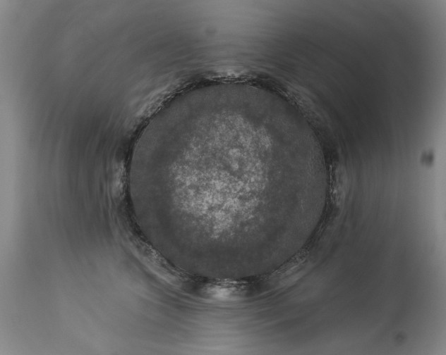 X0000113550563200910021533