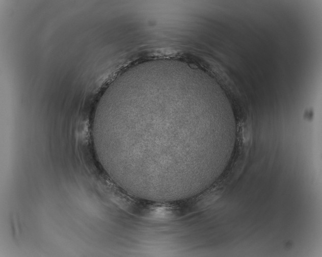 X0000113550564200910021533