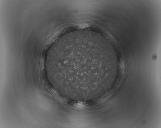 X0000113550565200910021533