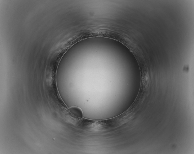 X0000113550566200910021533