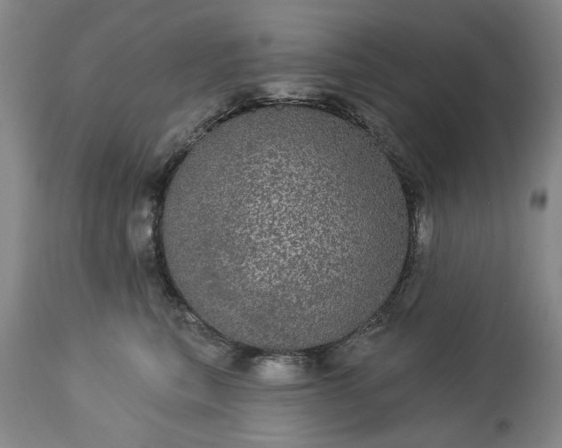 X0000113550567200910021533