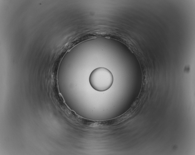 X0000113550568200910021533