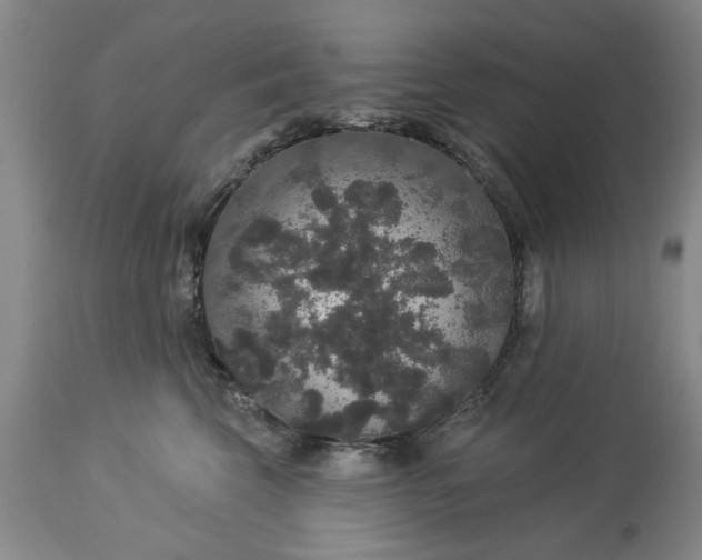 X0000113550569200910021533