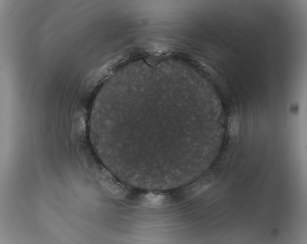 X0000113550570200910021533