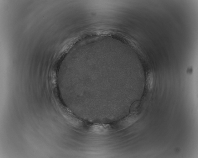 X0000113550571200910021533