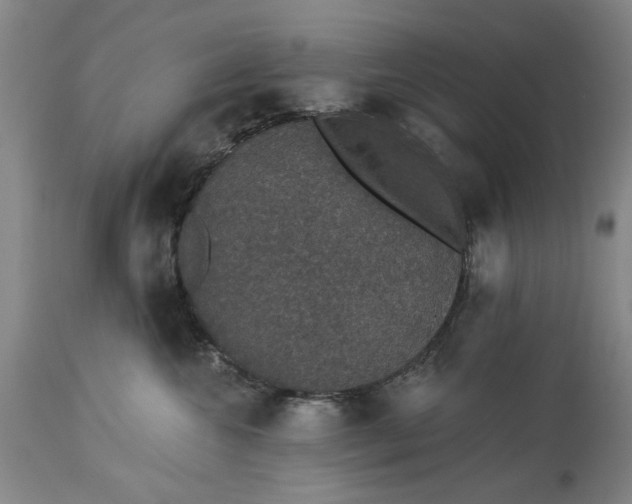 X0000113550572200910021533