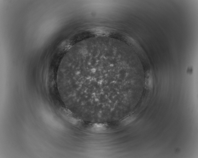 X0000113550573200910021533