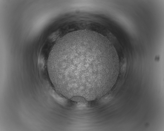 X0000113550574200910021533