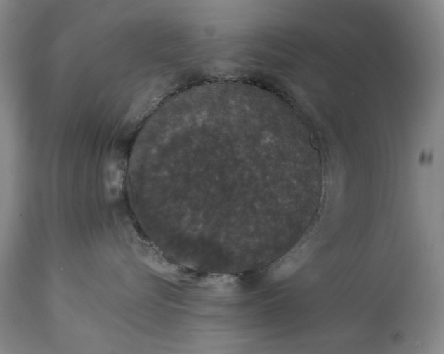 X0000113550576200910021533