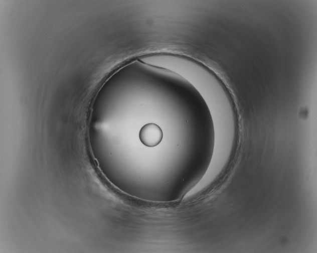 X0000113550577200910021532