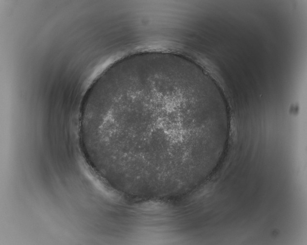 X0000113550578200910021532