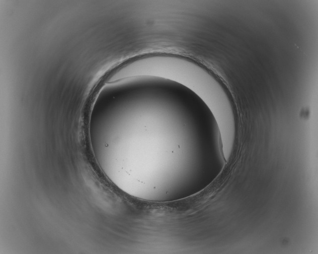 X0000113550579200910021532