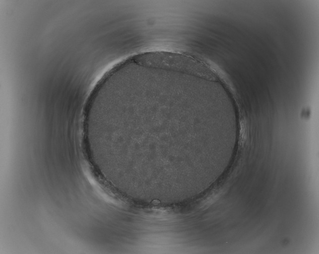 X0000113550580200910021532