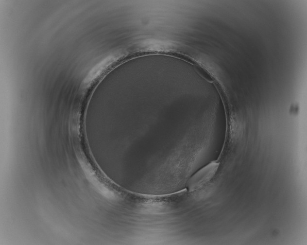 X0000113550581200910021532