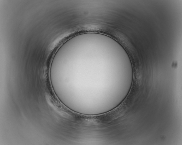 X0000113550583200910021532