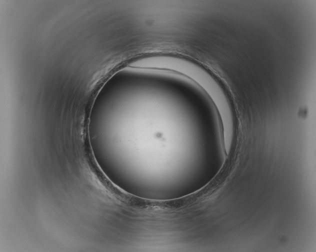 X0000113550585200910021532