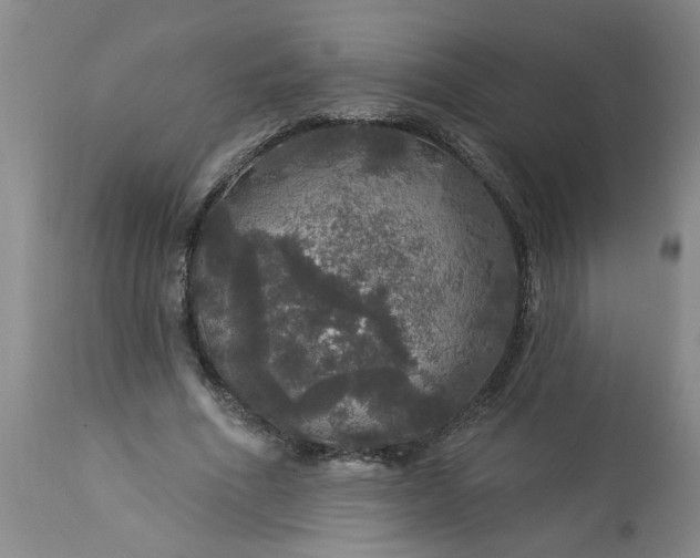 X0000113550586200910021532