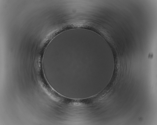 X0000113550590200910021532