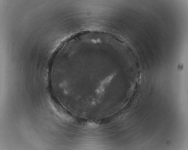 X0000113550592200910021532