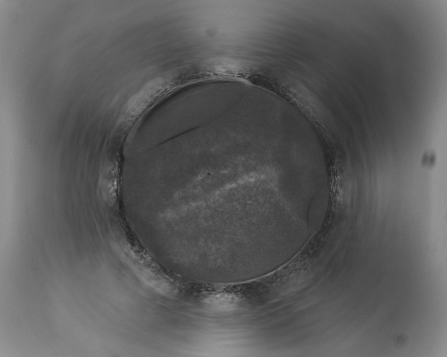 X0000113550593200910021532