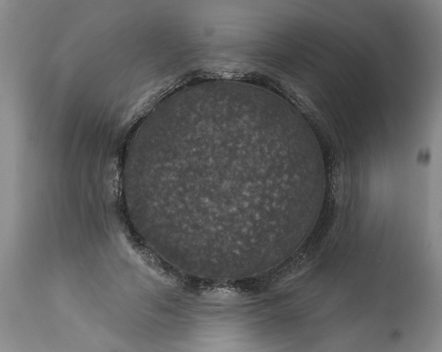 X0000113550594200910021532