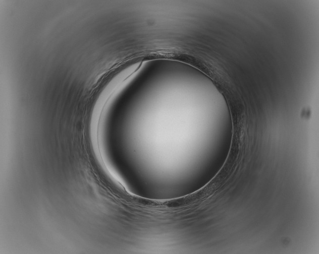 X0000113550595200910021532