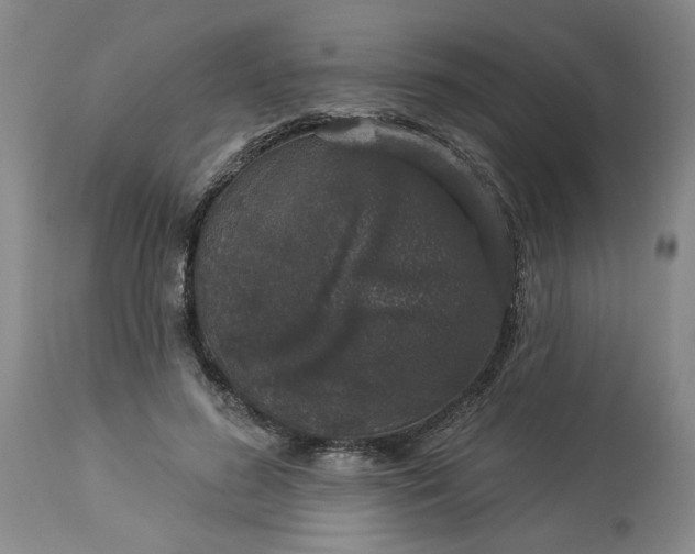 X0000113550596200910021532