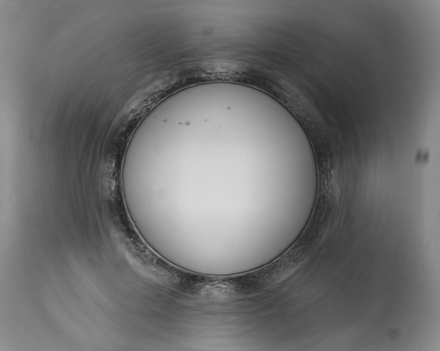 X0000113550599200910021532