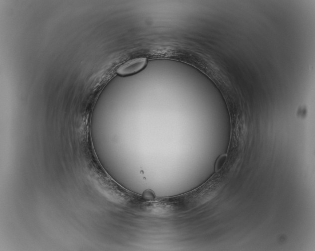 X0000113550601200910021532