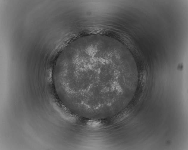 X0000113550602200910021532