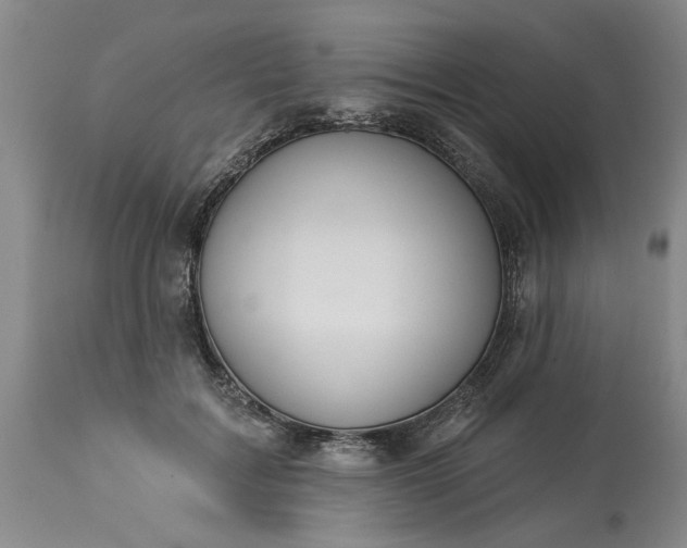 X0000113550603200910021532