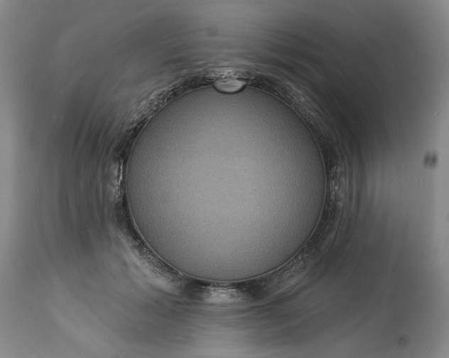 X0000113550605200910021532