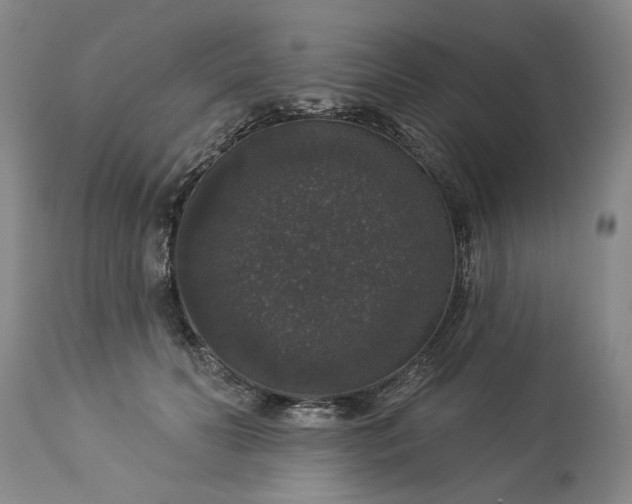 X0000113550606200910021532