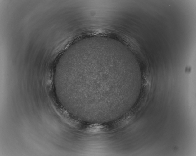 X0000113550607200910021532