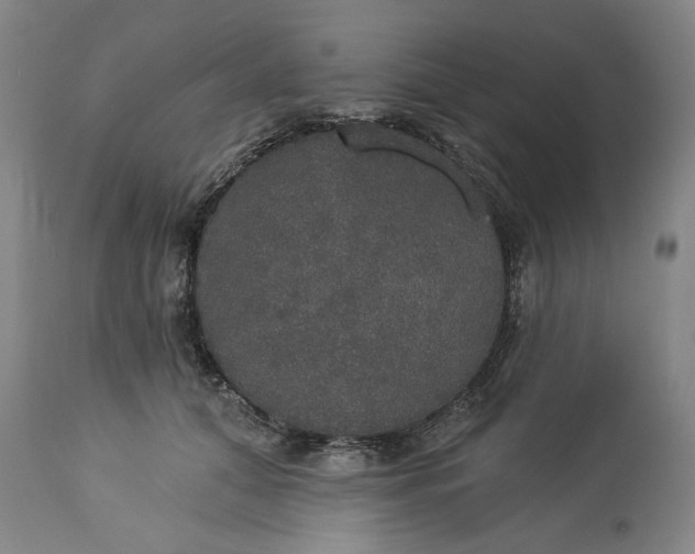 X0000113550608200910021532