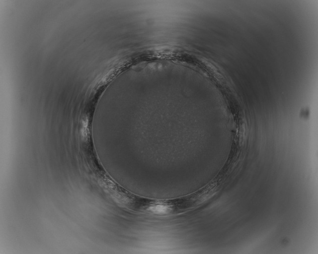 X0000113550610200910021532