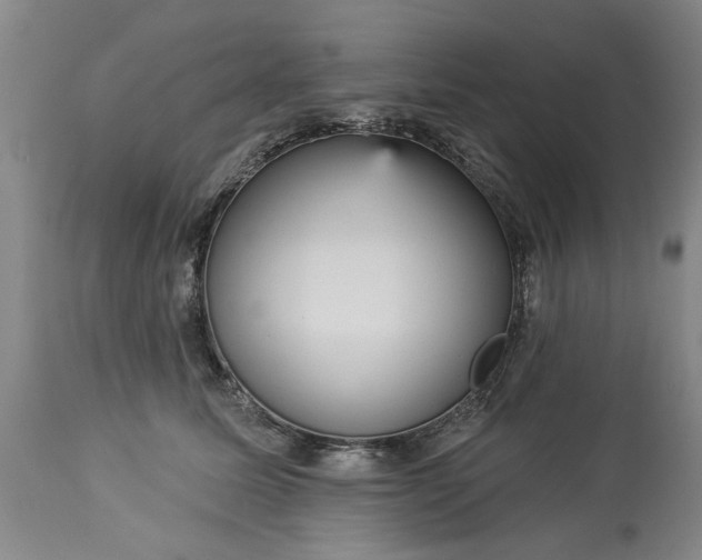 X0000113550611200910021532