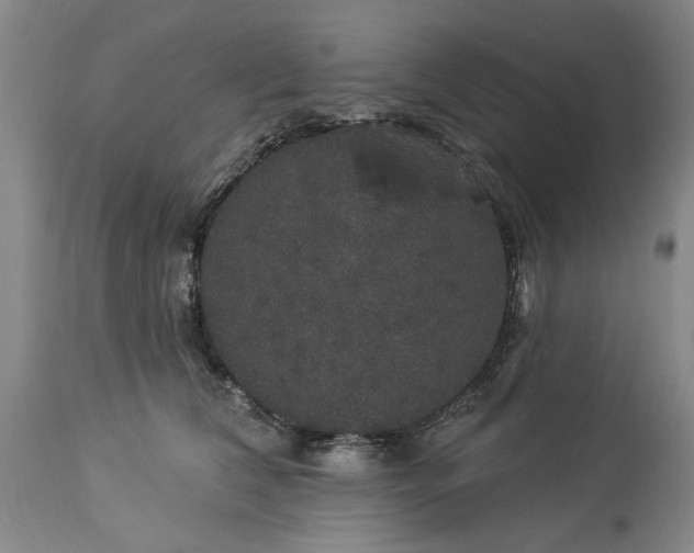 X0000113550612200910021532