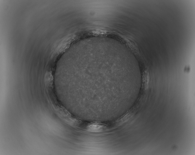 X0000113550614200910021532