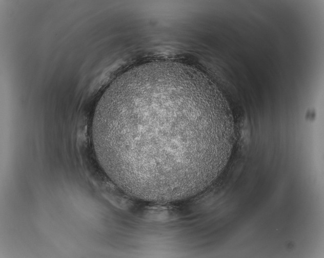 X0000113550615200910021532