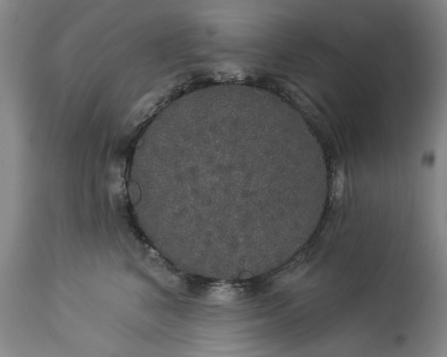 X0000113550616200910021532