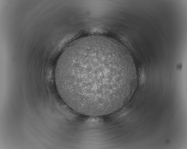 X0000113550619200910021532