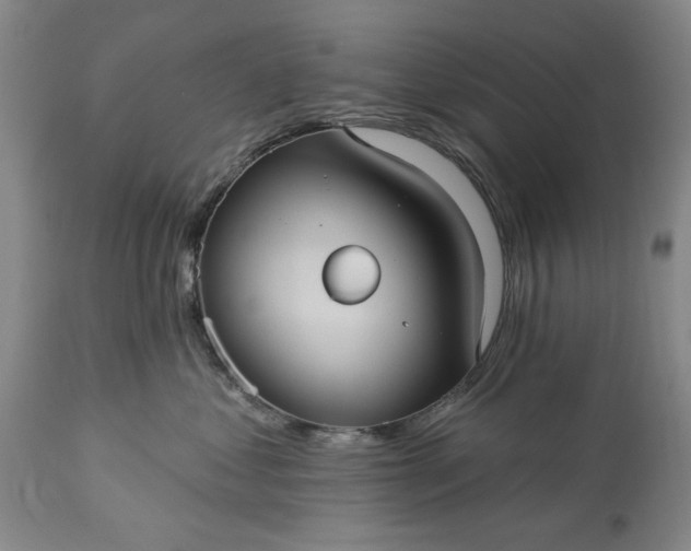 X0000113550621200910021532