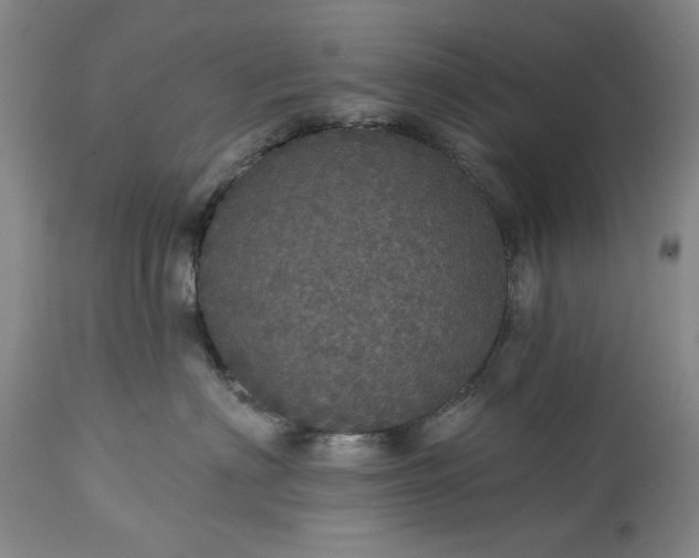 X0000113550622200910021532