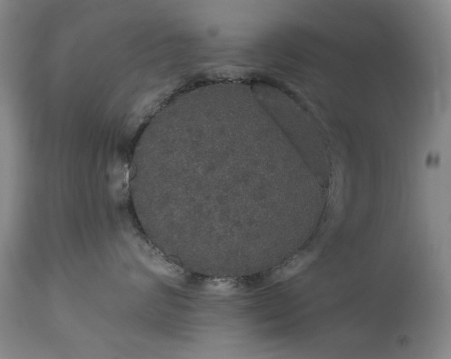 X0000113550624200910021532