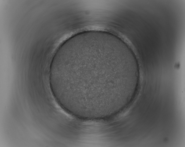 X0000113550625200910021531