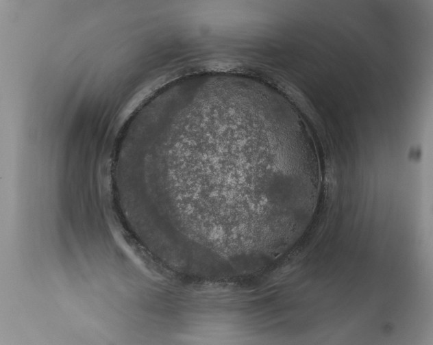 X0000113550626200910021531